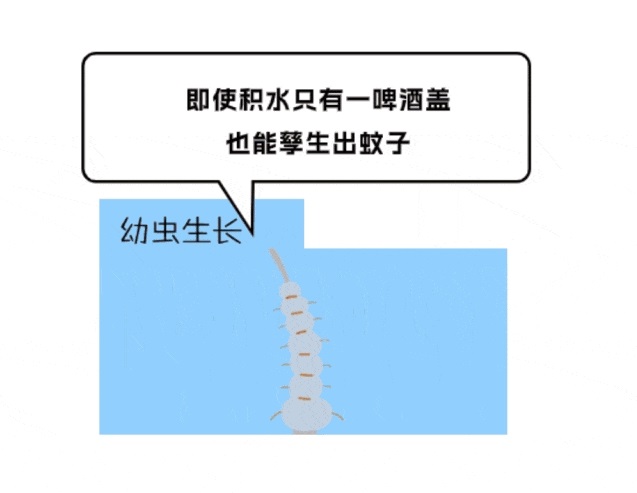 微信截圖_20240823090511.png